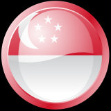 Temporary tattoo of Singapore flag